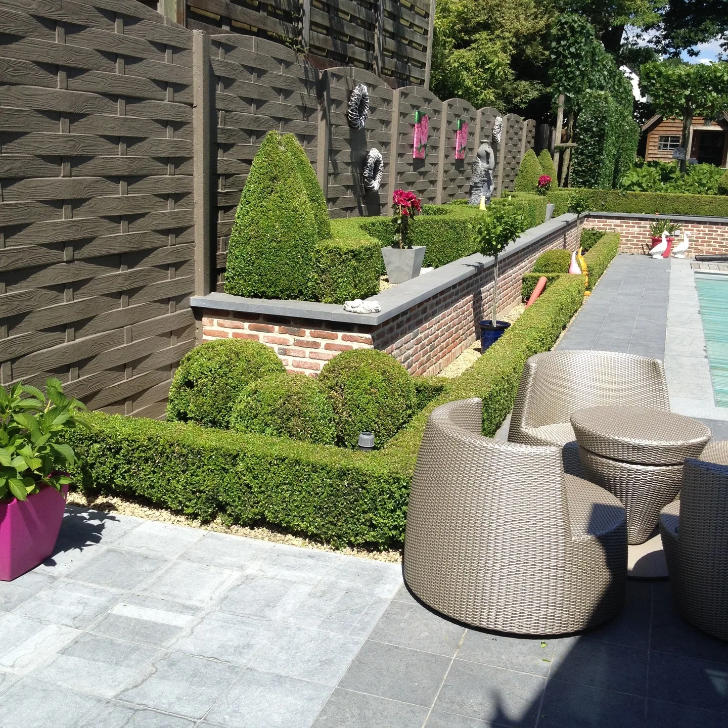 Aangelegde tuin met terras, gesnoeide buxus en zwembad — Lumen bv